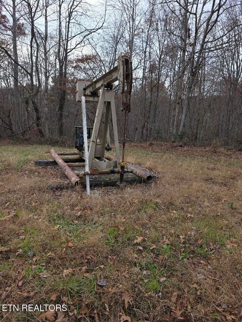 Tiny photo for Junior Cox Rd, Deer Lodge, TN 37726 (MLS # 1324547)