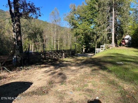 Tiny photo for 387 Steve Brown Rd, Bean Station, TN 37708 (MLS # 1359677)