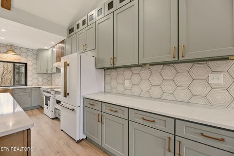 Tiny photo for 12515 Buttermilk Rd, Knoxville, TN 37932 (MLS # 1338692)
