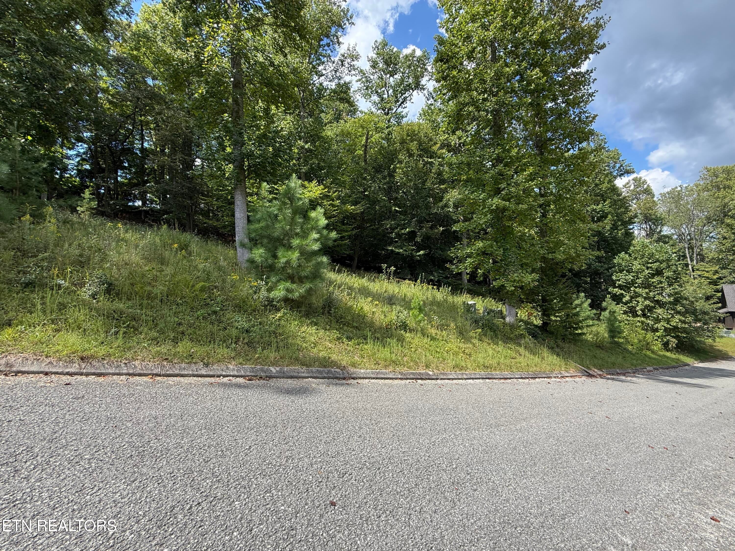 Foxwood Drive