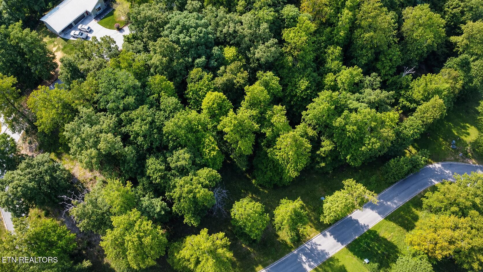 Foxwood Drive
