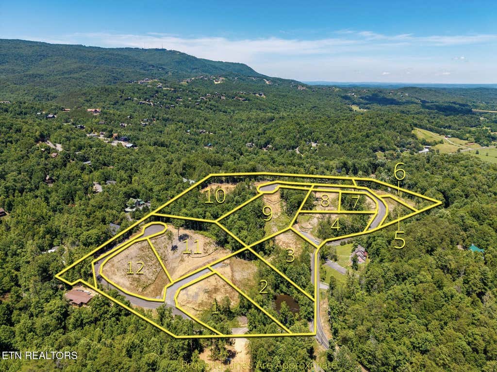 Photo of 7 Waldens Creek Rd, Sevierville, TN 37862 (MLS # 1352905)
