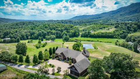 Photo of 18325 Horton Hwy, Fall Branch, TN 37656 (MLS # 1334860)