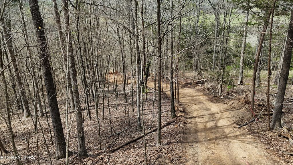 Photo of 000 Geren Subd Lane, Decatur, TN 37322 (MLS # 1335125)