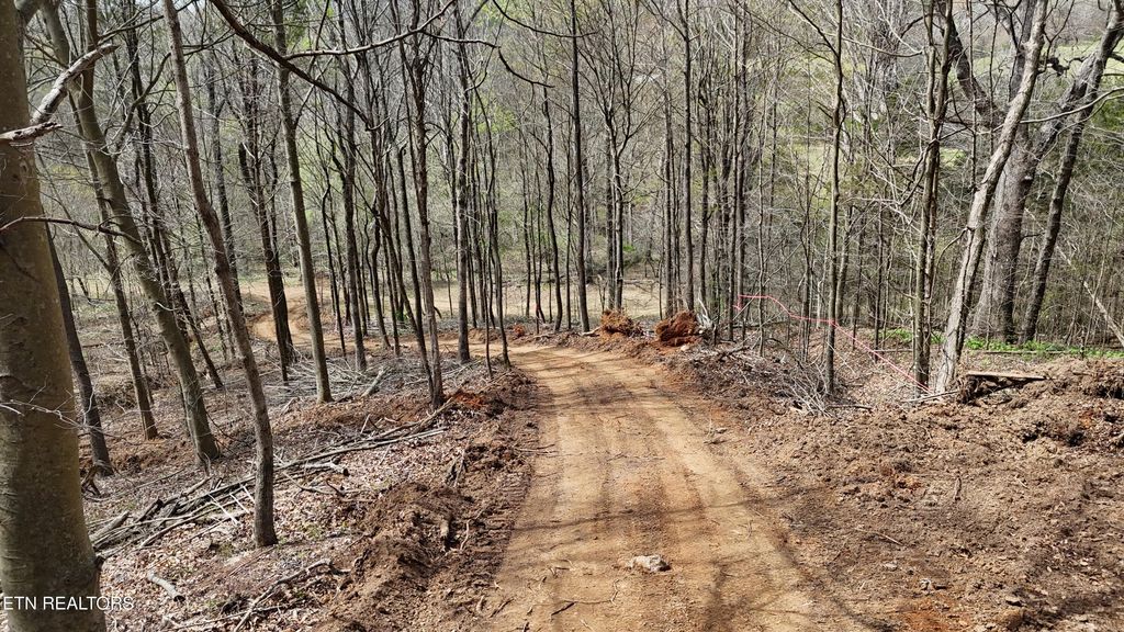 Photo of 000 Geren Subd Lane, Decatur, TN 37322 (MLS # 1335125)