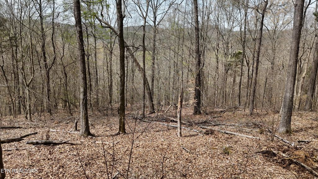 Photo of 000 Geren Subd Lane, Decatur, TN 37322 (MLS # 1335125)
