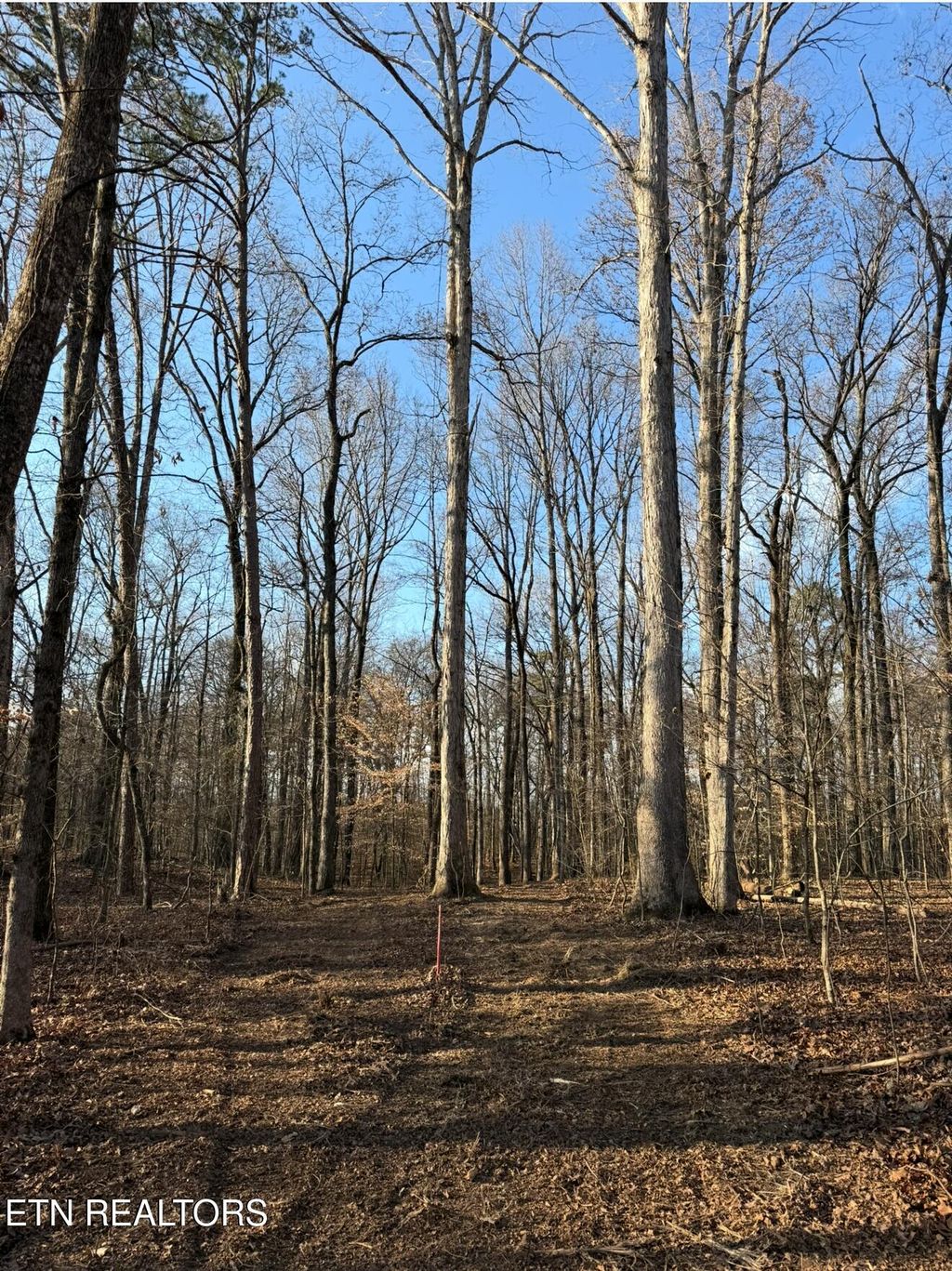 Photo of 4331 Sevierville Rd #Lot 2, Maryville, TN 37804 (MLS # 1315674)