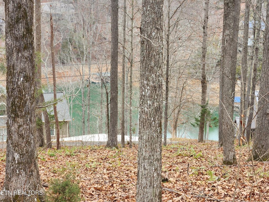 Photo of 21 Deer Run Point, LaFollette, TN 37766 (MLS # 1323688)