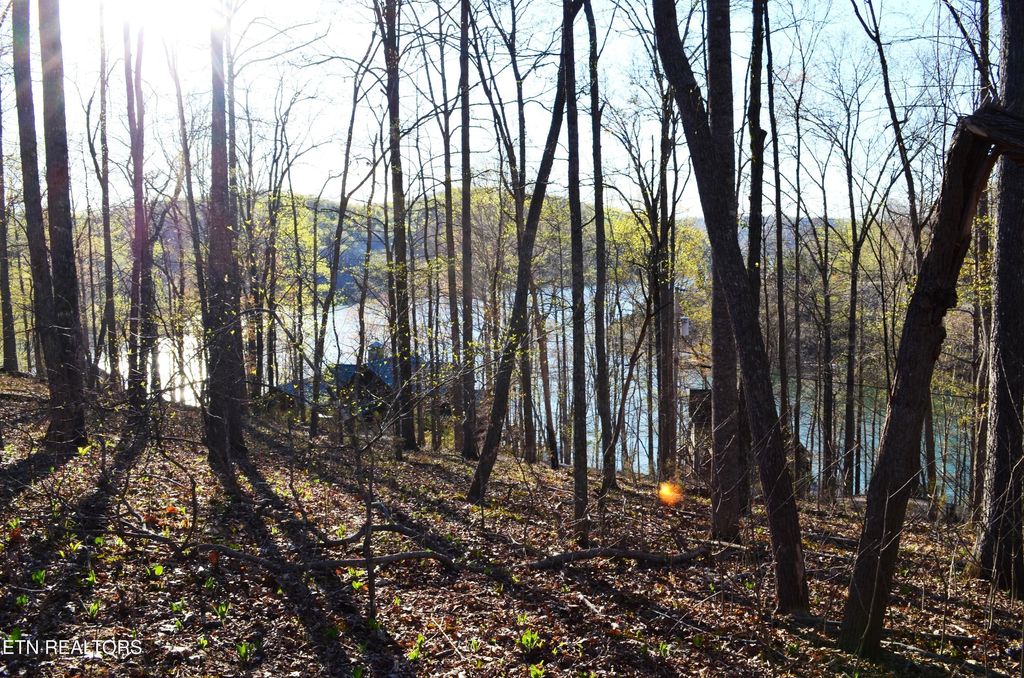Photo of 21 Deer Run Point, LaFollette, TN 37766 (MLS # 1323688)