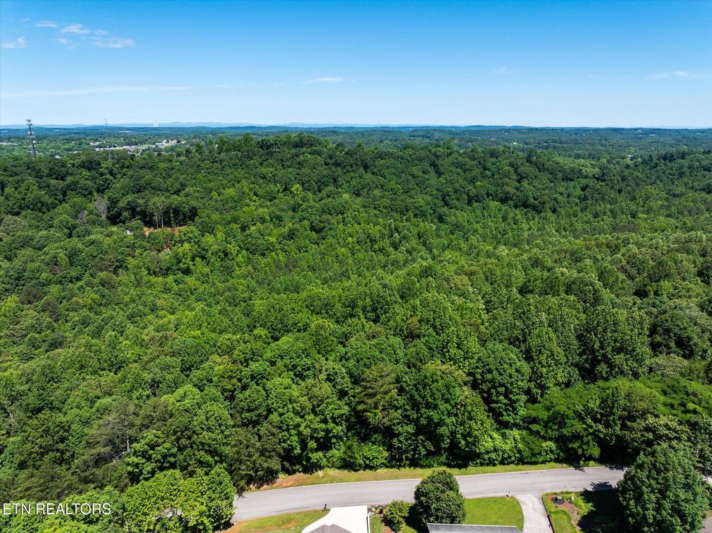 Photo of 000 Chestnut Hill Drive, Athens, TN 37303 (MLS # 1323525)