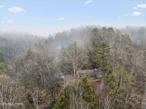 Tiny photo for 246 Shields View Drive, Gatlinburg, TN 37738 (MLS # 1317433)