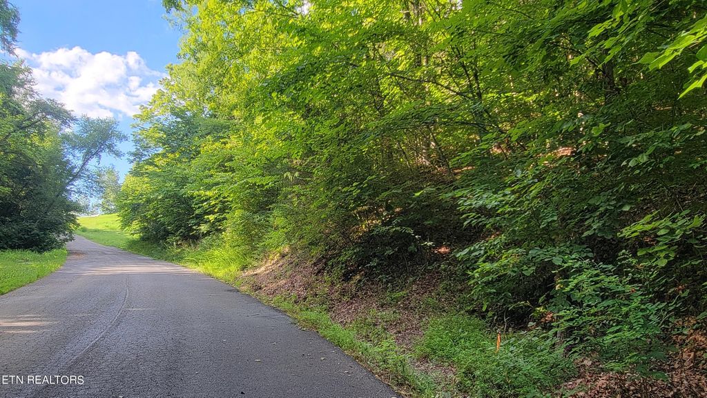 Photo of Lakeshore Dr (Lot 36) Way, Newport, TN 37821 (MLS # 1268773)