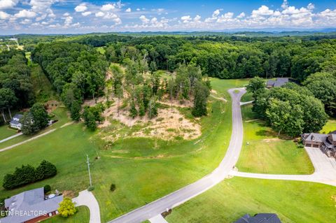 Tiny photo for 6 County RD. 7004/7005, Athens, TN 37303 (MLS # 1316898)