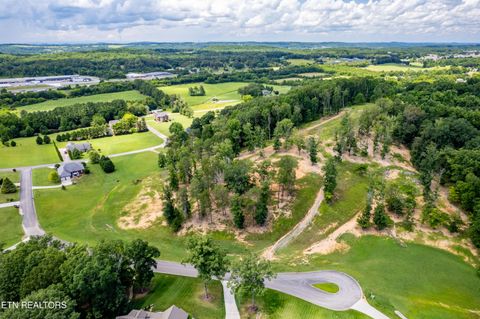 Tiny photo for 6 County RD. 7004/7005, Athens, TN 37303 (MLS # 1316898)
