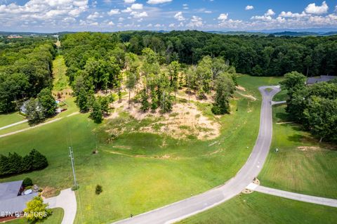 Tiny photo for 6 County RD. 7004/7005, Athens, TN 37303 (MLS # 1316898)