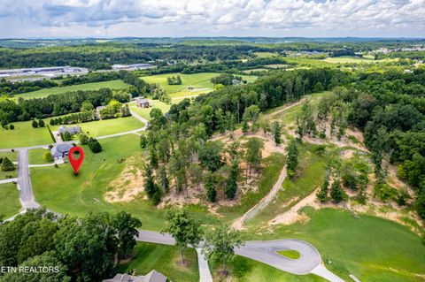 Tiny photo for 6 County RD. 7004/7005, Athens, TN 37303 (MLS # 1316898)