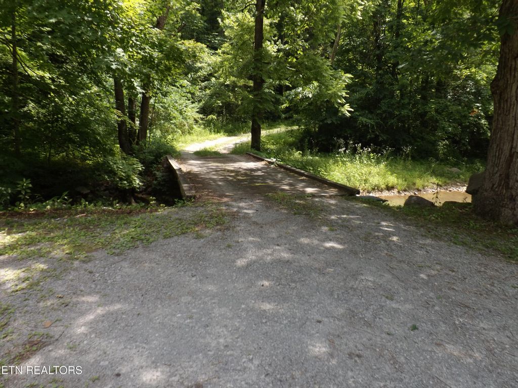 Photo of TBD Snake Hollow Rd, Sneedville, TN 37869 (MLS # 1343994)