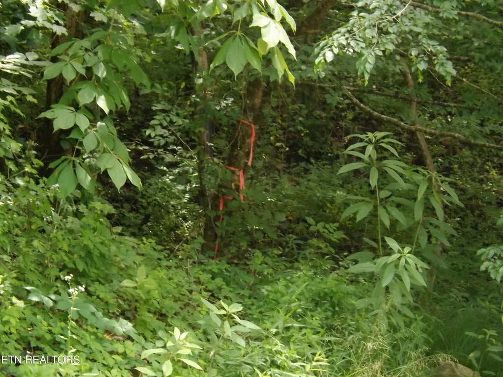 Photo of TBD Snake Hollow Rd, Sneedville, TN 37869 (MLS # 1343994)