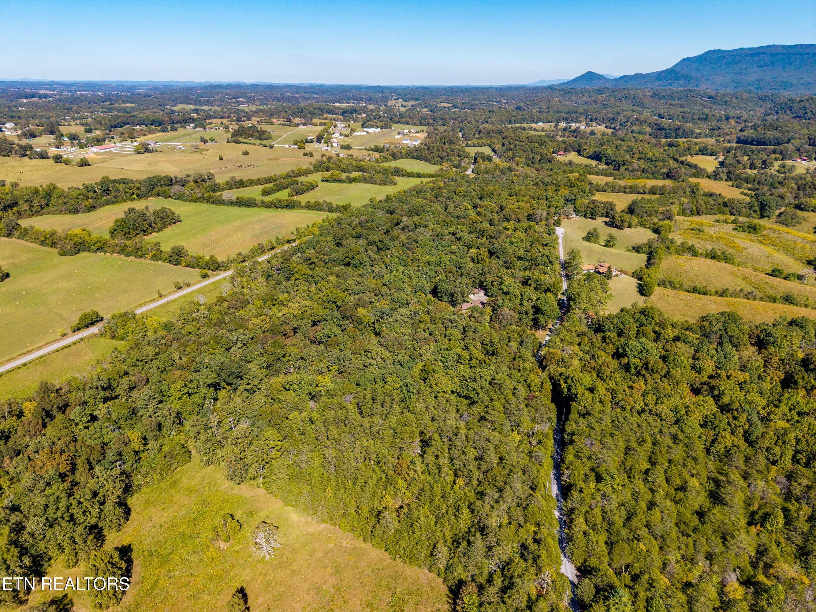 1903 Tree Tops Lane