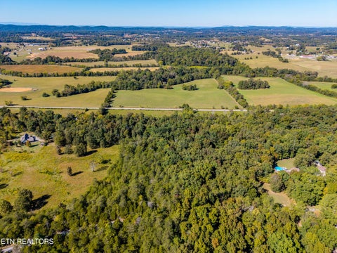Tiny photo for 1903 Tree Tops Lane, Seymour, TN 37865 (MLS # 1357776)