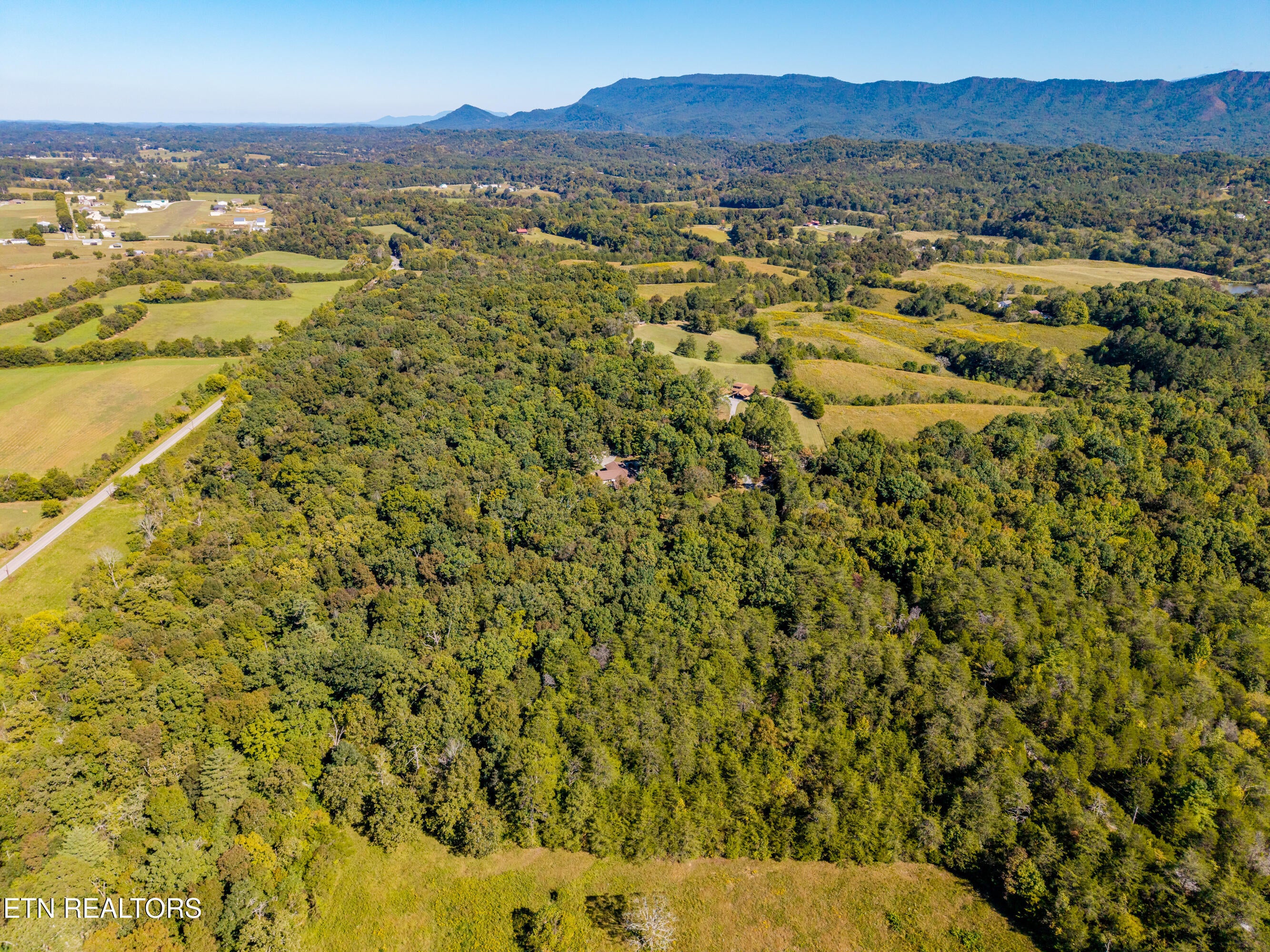 1903 Tree Tops Lane