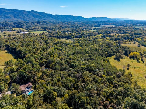 Tiny photo for 1903 Tree Tops Lane, Seymour, TN 37865 (MLS # 1357776)
