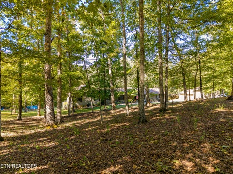 Tiny photo for 1903 Tree Tops Lane, Seymour, TN 37865 (MLS # 1357776)