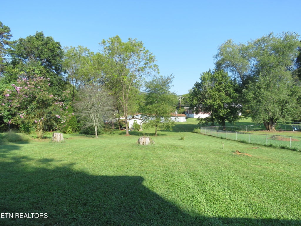 Photo of 505 N Chamberlain Ave, Rockwood, TN 37854 (MLS # 1354622)