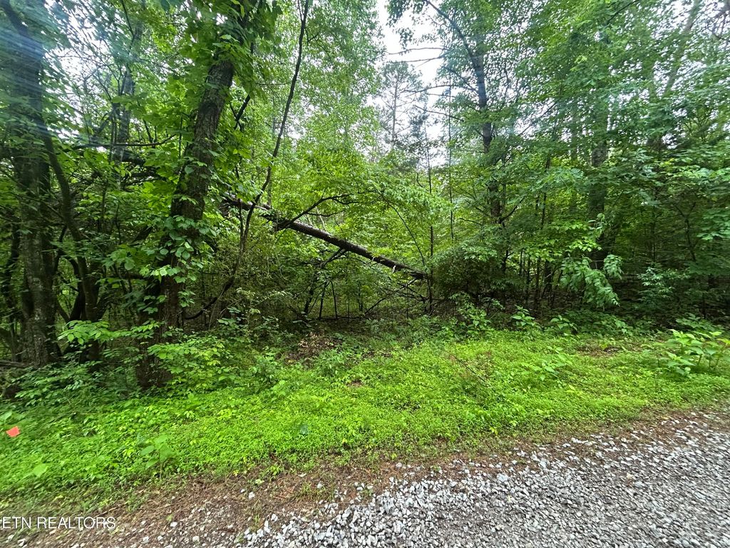 Photo of Lot 105-108 Settlers Rd, Harriman, TN 37748 (MLS # 1339846)