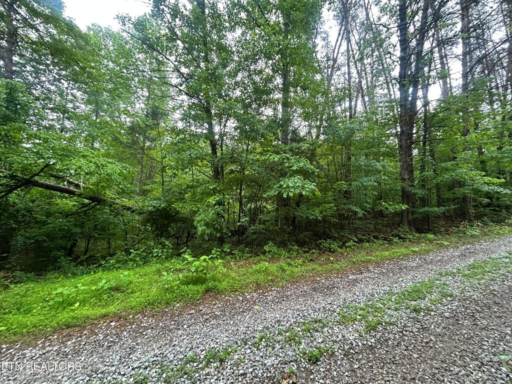 Photo of Lot 105-108 Settlers Rd, Harriman, TN 37748 (MLS # 1339846)