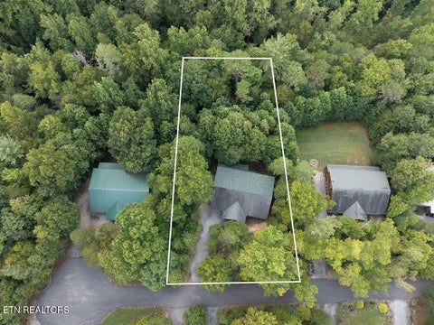 Tiny photo for 223 Amet Way, Cosby, TN 37722 (MLS # 1355871)
