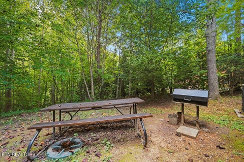 Tiny photo for 223 Amet Way, Cosby, TN 37722 (MLS # 1355871)
