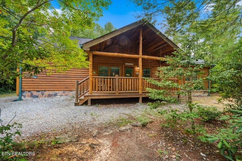 Tiny photo for 223 Amet Way, Cosby, TN 37722 (MLS # 1355871)