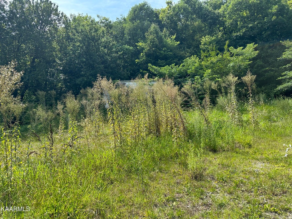 Photo of 3222 Jenkins St, Knoxville, TN 37921 (MLS # 1237807)