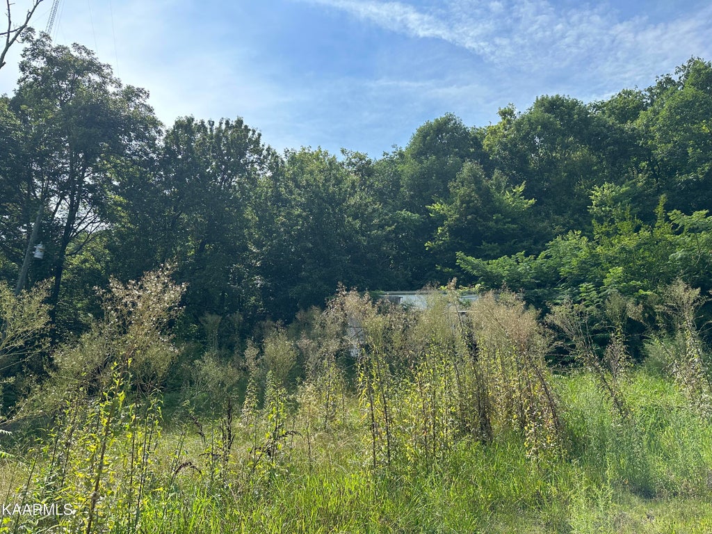 Photo of 3222 Jenkins St, Knoxville, TN 37921 (MLS # 1237807)