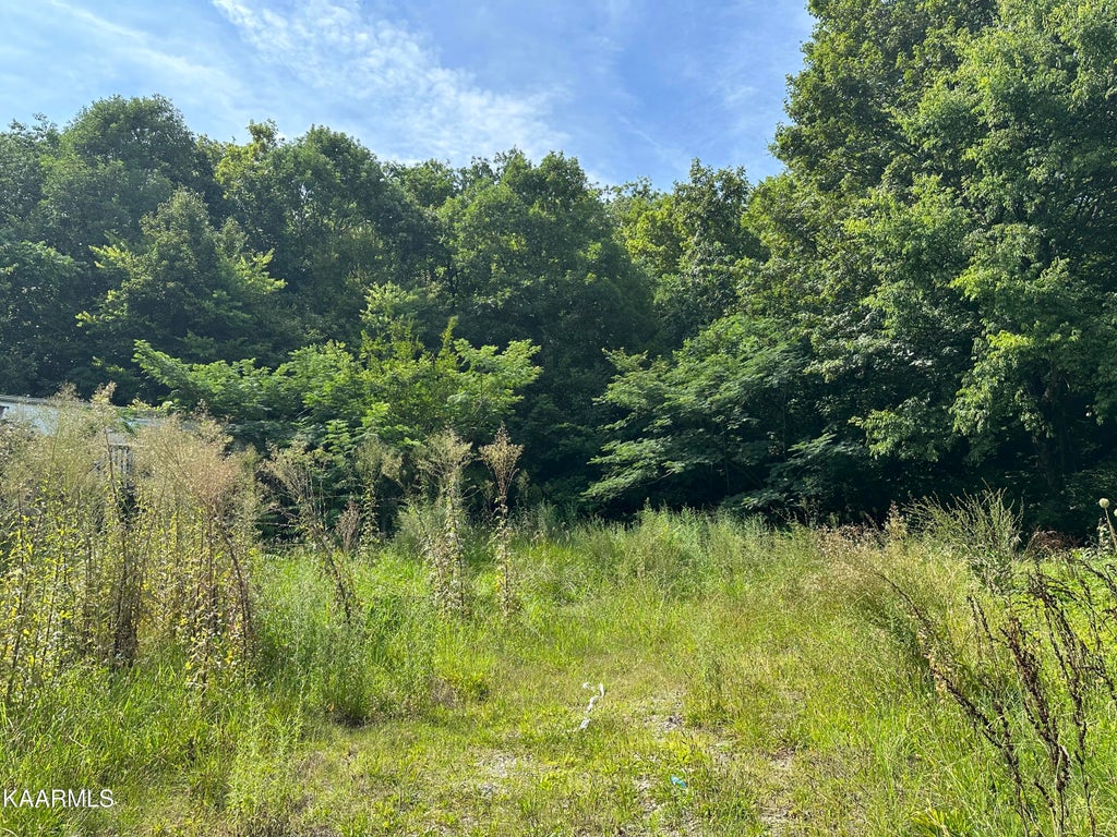 Photo of 3222 Jenkins St, Knoxville, TN 37921 (MLS # 1237807)