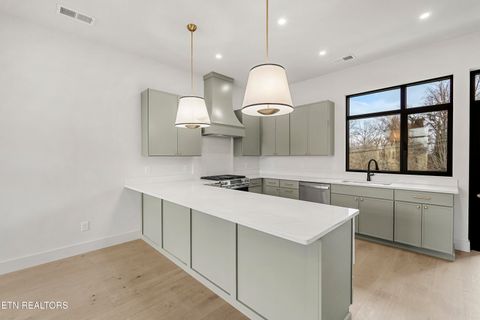 Tiny photo for 839 Vera Valley Way, Knoxville, TN 37919 (MLS # 1334404)