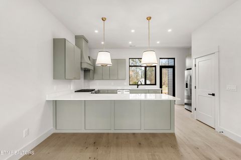 Tiny photo for 839 Vera Valley Way, Knoxville, TN 37919 (MLS # 1334404)