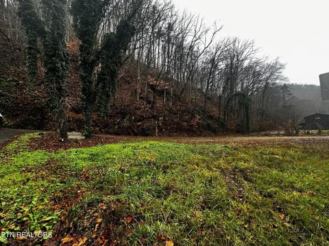 Tiny photo for 0 Cherohala Skyway, Tellico Plains, TN 37385 (MLS # 1323523)