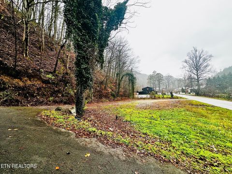 Tiny photo for 0 Cherohala Skyway, Tellico Plains, TN 37385 (MLS # 1323523)