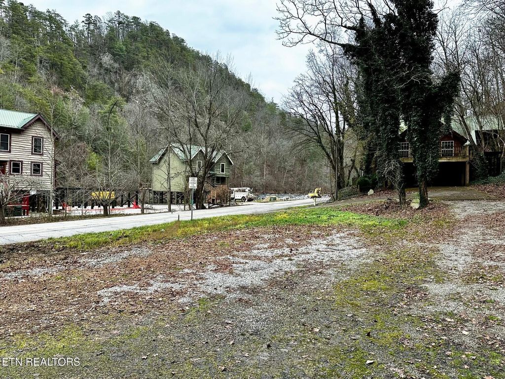 Photo of 0 Cherohala Skyway, Tellico Plains, TN 37385 (MLS # 1323523)
