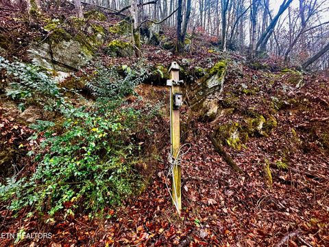 Tiny photo for 0 Cherohala Skyway, Tellico Plains, TN 37385 (MLS # 1323523)
