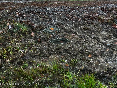 Tiny photo for 0 Cherohala Skyway, Tellico Plains, TN 37385 (MLS # 1323523)