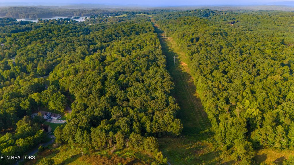Photo of 0 Lake Forest Rd, Spring City, TN 37381 (MLS # 1292004)