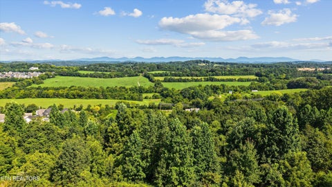 Tiny photo for 11510 Boston Ivy Lane, Knoxville, TN 37932 (MLS # 1357378)