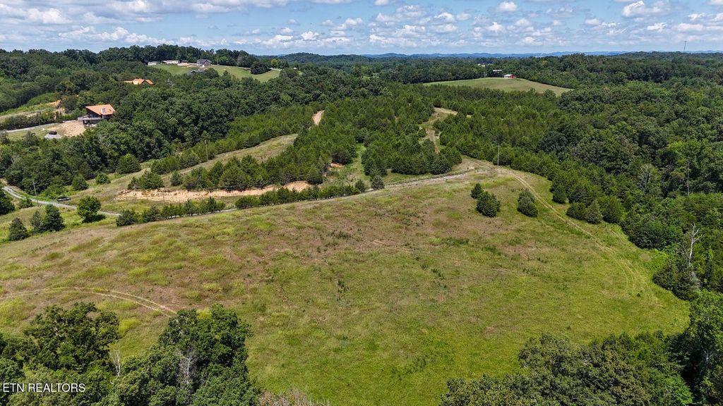 Photo of 1430 Swannsylvania Rd, Dandridge, TN 37725 (MLS # 1313077)