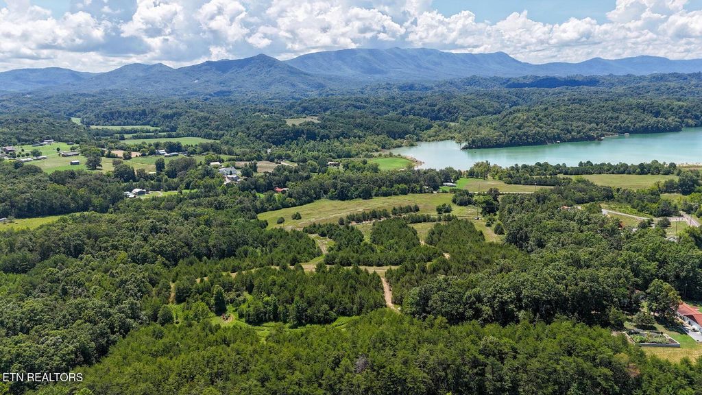 Photo of 1430 Swannsylvania Rd, Dandridge, TN 37725 (MLS # 1313077)