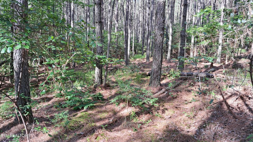 Photo of 152 Sunset View Lane, Rockwood, TN 37854 (MLS # 1332476)