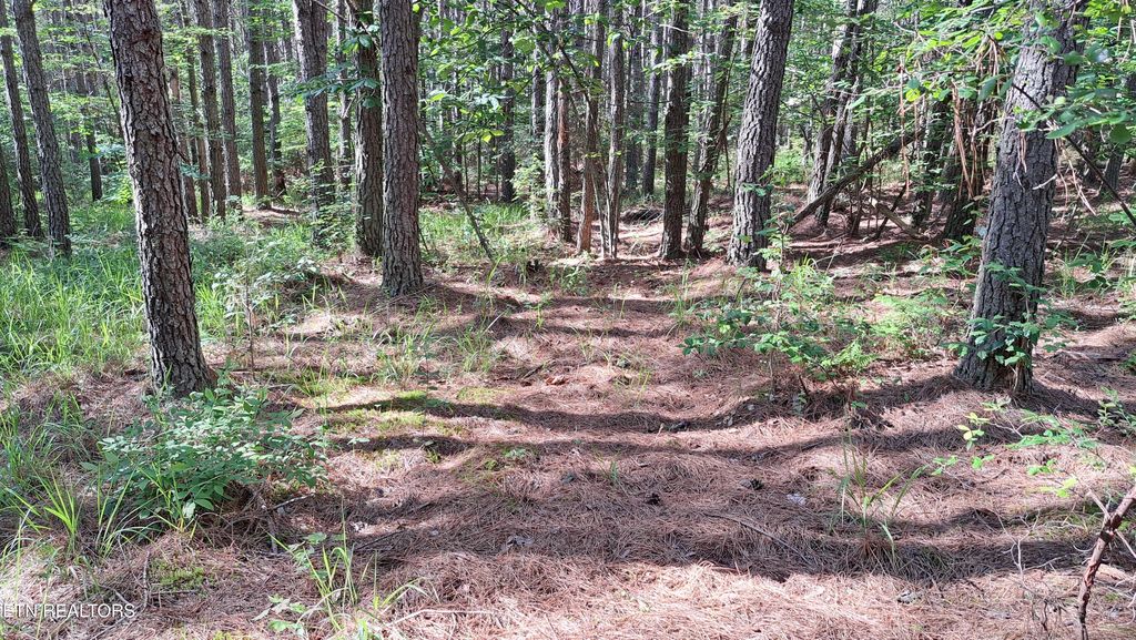 Photo of 152 Sunset View Lane, Rockwood, TN 37854 (MLS # 1332476)