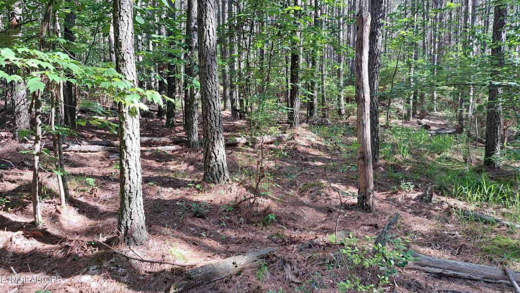 Photo of 152 Sunset View Lane, Rockwood, TN 37854 (MLS # 1332476)